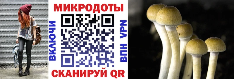 Галлюциногенные грибы MAGIC MUSHROOMS  Североуральск 